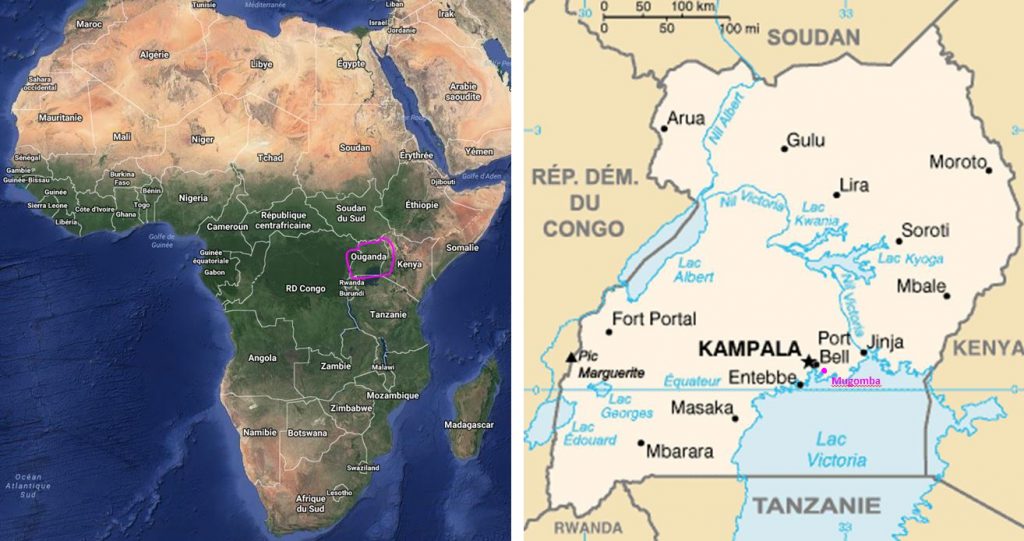 Ouganda Mugomba humanitaire