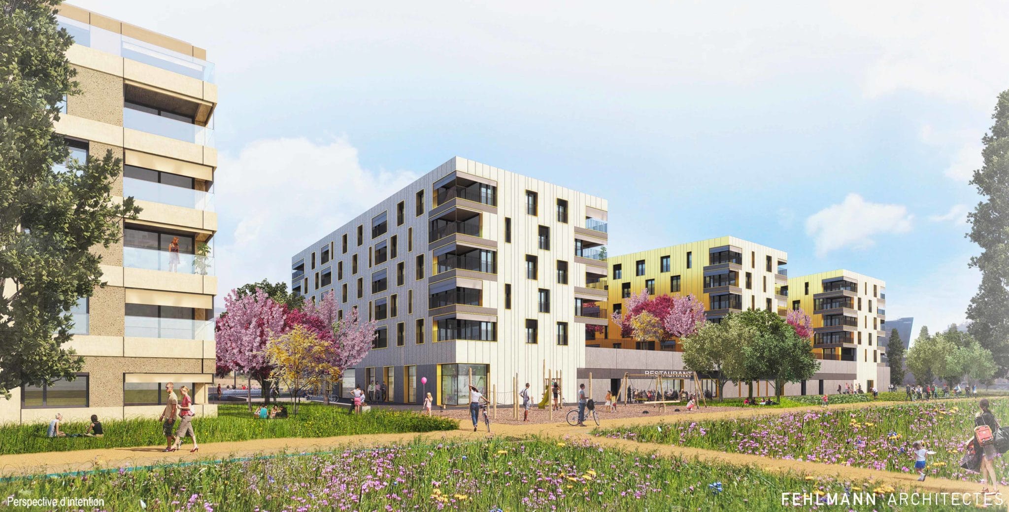 Futur quartier Gruvatiez à Orbe