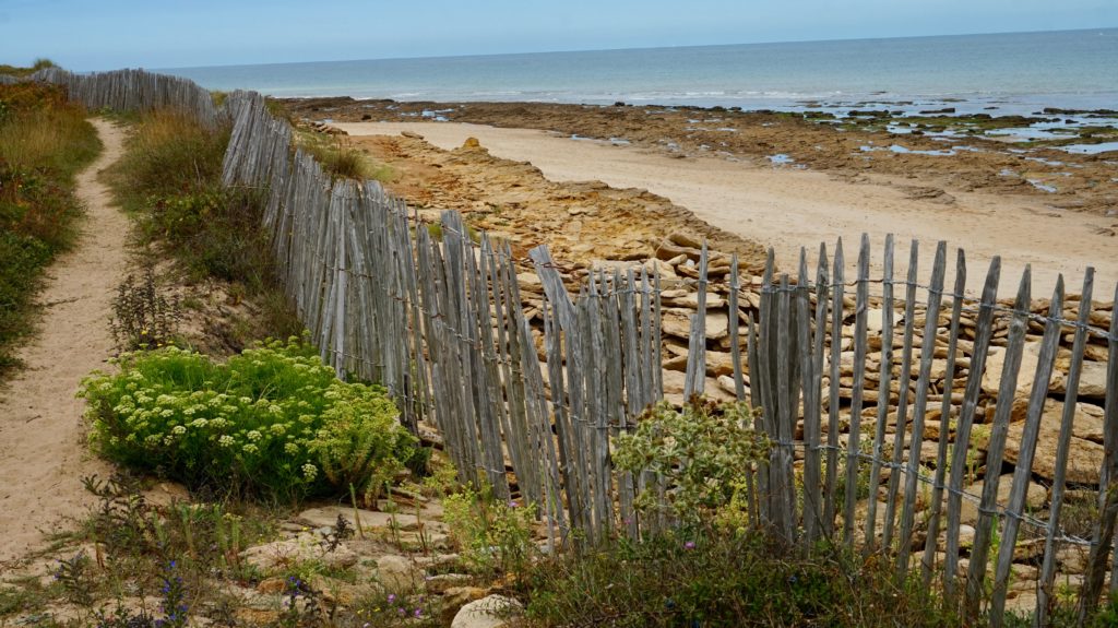 Ile-de-ré-dune